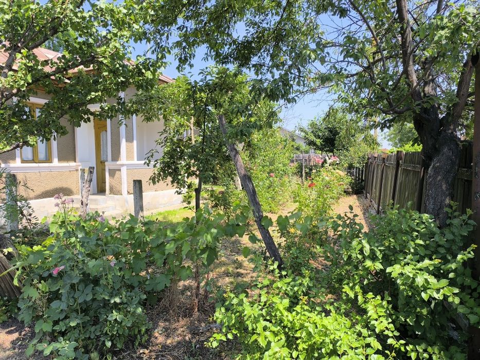 Casa bătrânească