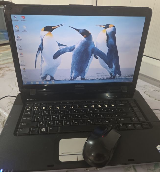 Ноутбук      DELL