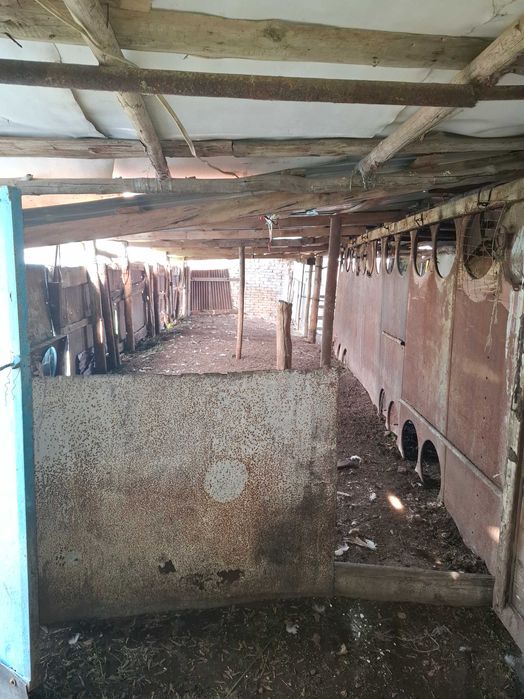 Продам ДОМ пос. АКБИДАЙ