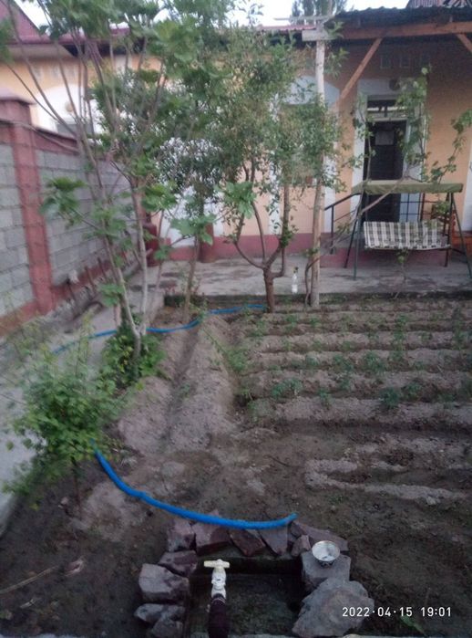 Katej sotiladi 2 sotxli