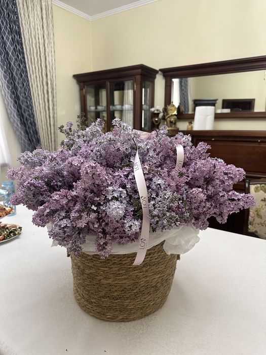 Сирень в кашпо продается