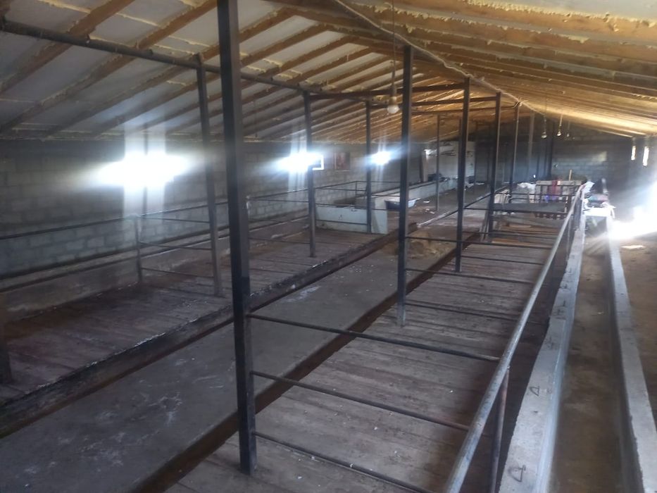 Продам крестьянской хозяйство