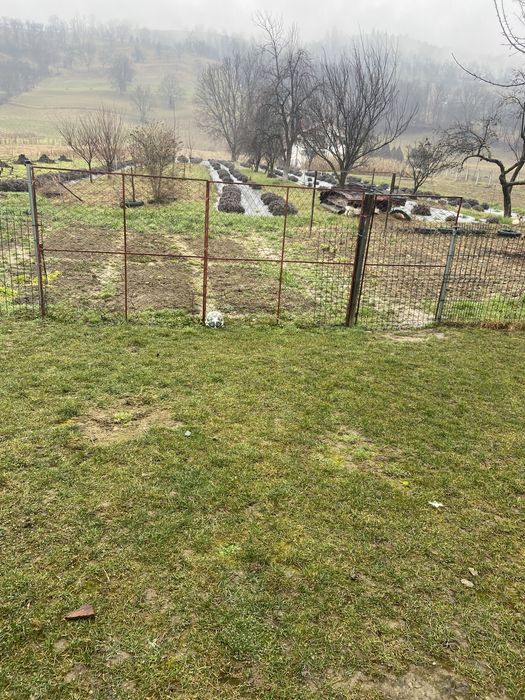 Case si anexe,gradina