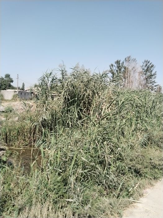 МАКЛЕР. Продам земельный участок.