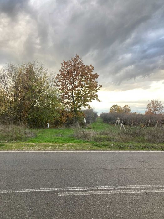 Парцел 2320 м2 - отличен за лозе/градина/пчелин, до път Дебър–Брягово