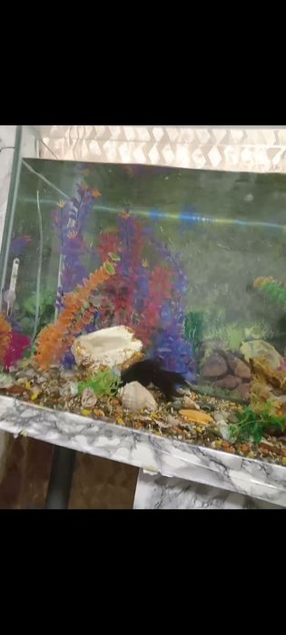Продам аквариум на 350 л