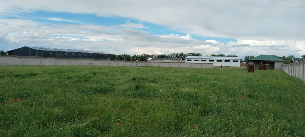 Продам коммерческие помещение 50 соток