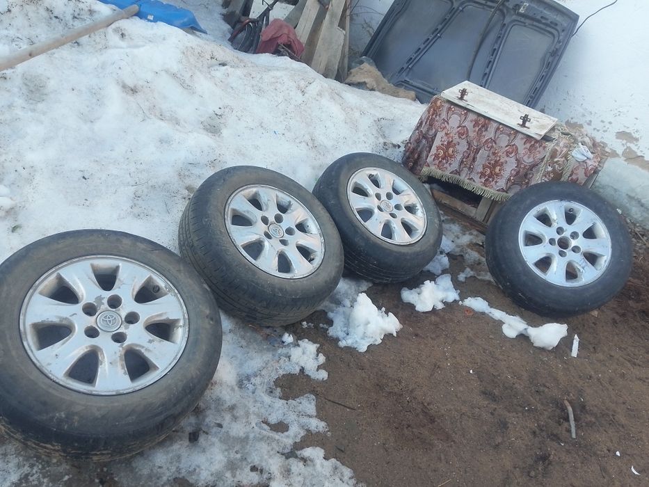 Екi сезон салынды  4штук