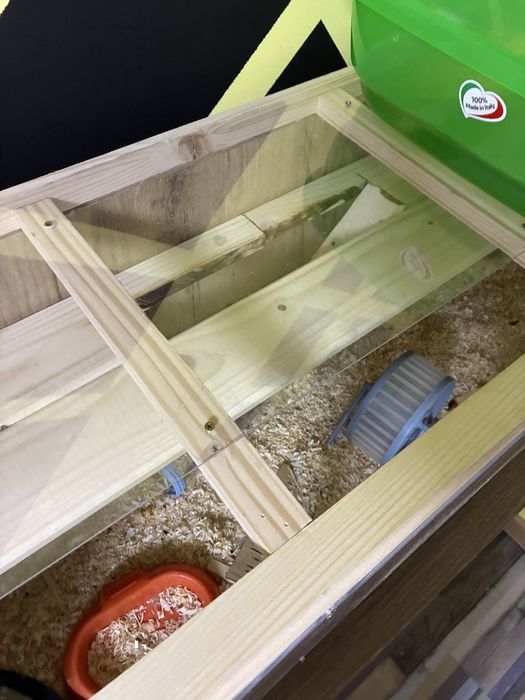 Hamsteri si cusca completa spatioasa