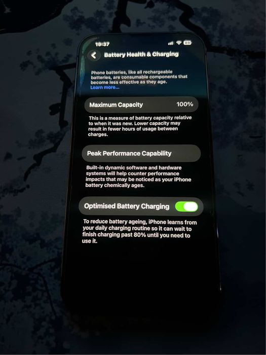 iPhone 13 pro 100%