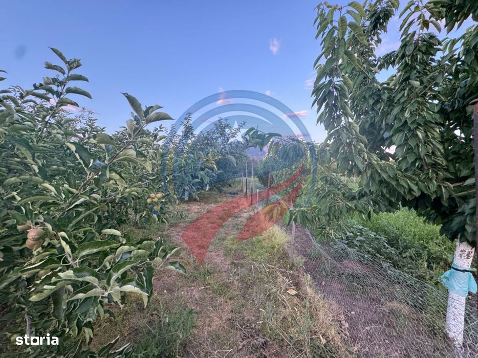 Casă de vânzare în Comuna Orodel – proprietate îngrijită, gata de locu