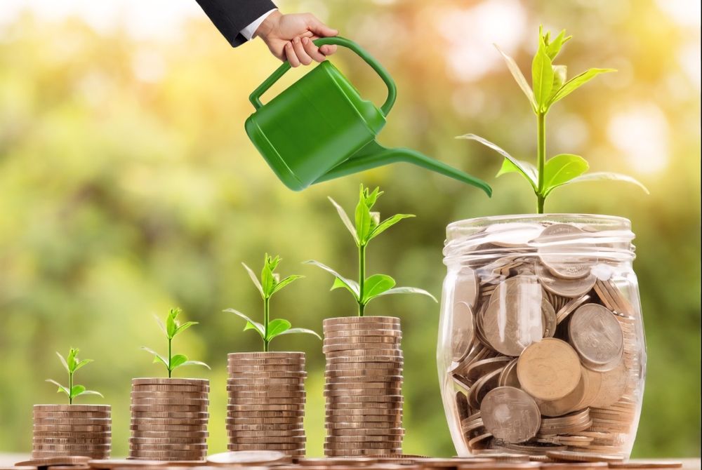 Юриб турган таёо бизнес сотилади