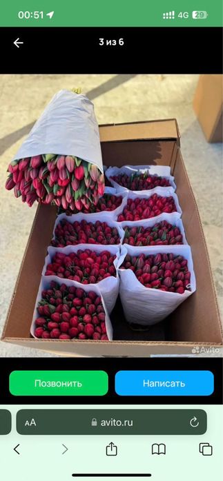 Цветы в розницу тюльпаны свежие