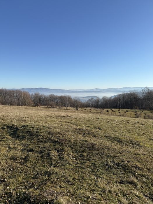 Teren de vanzare 10 000 mp