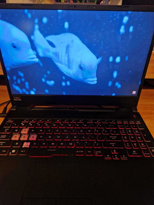 Vand Laptop Gaming ASUS TUF F15