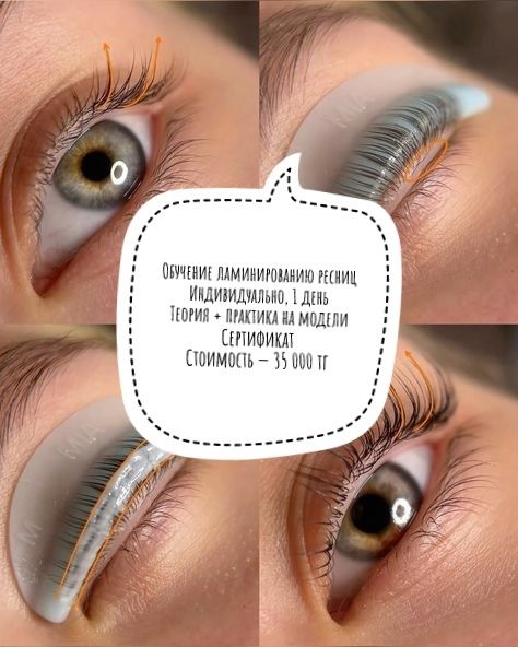 Курсы! Курсы! Курсы!