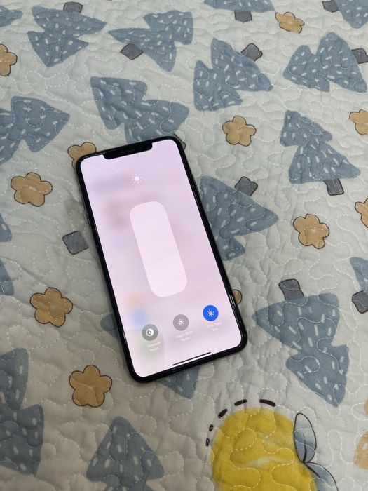 iPhone XS MAX 256GB