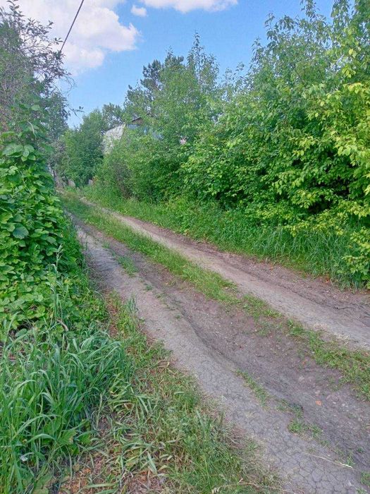 Дачный участок в  с/о "Ромашка"