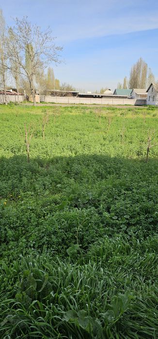 5 SOTIX UCHASTKA SOTILADI.manzil: Toshkent viloyati O'rta chirchiq tum