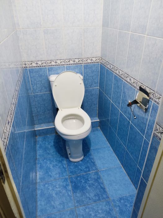 Qiz ozining mushuk videosiga yaltiroq qoyadi