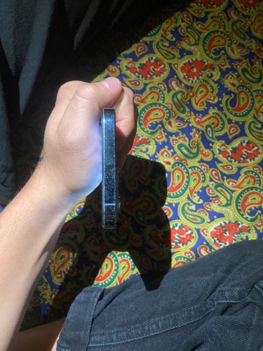 iphonee 13  pro max