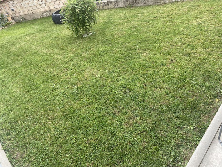 Косене и Поддръжка