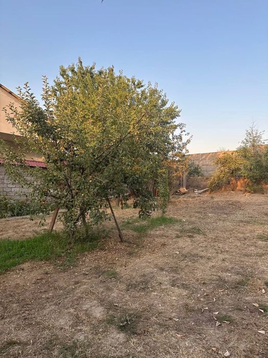 Продается дача Паркент (Навбахор)