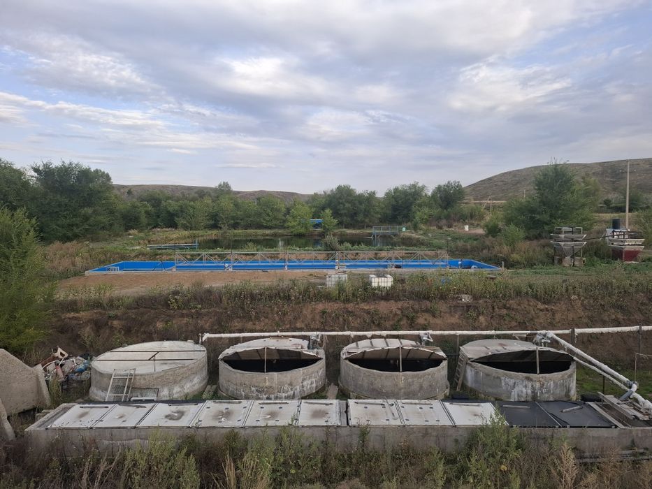 Продам действующее форелевое хозяйство