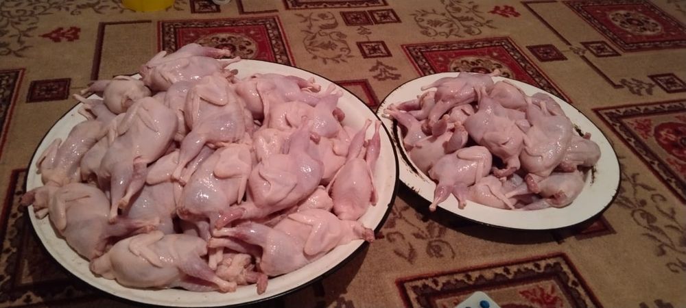 Бөдене еті 5500тг