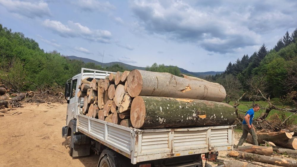 Lemn de foc la domiciliu