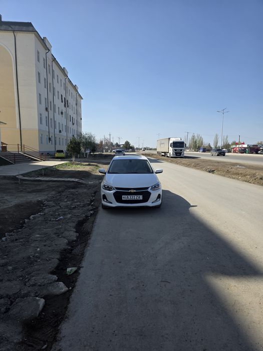 Онекс 2023 краска радной