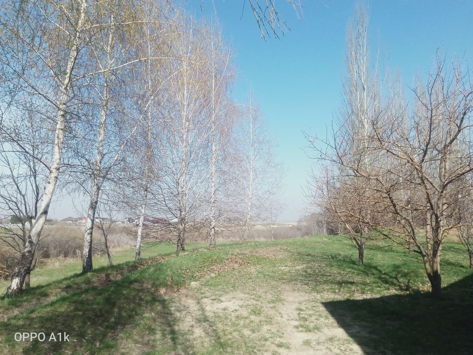 Продам дом кирпичный