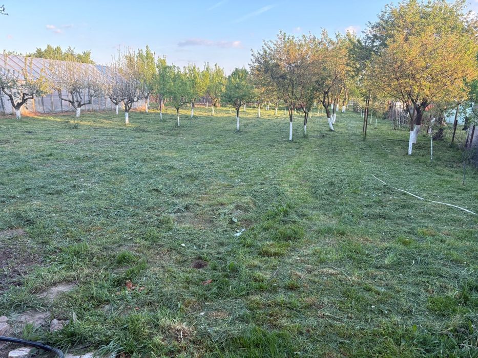 Casa cu teren și anexe
