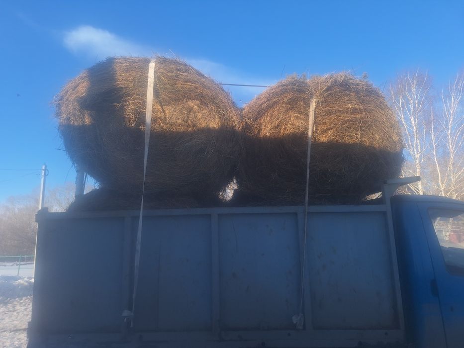 Уголь доставка на Газель самосвал до 3-х тонн