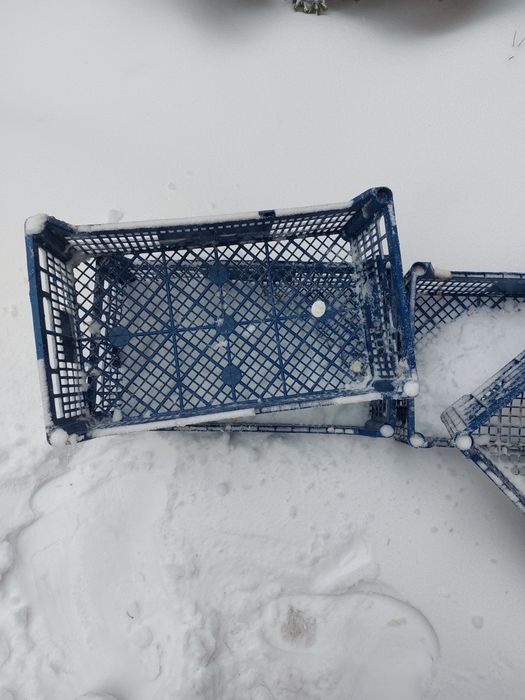 Корзины пластмассовые