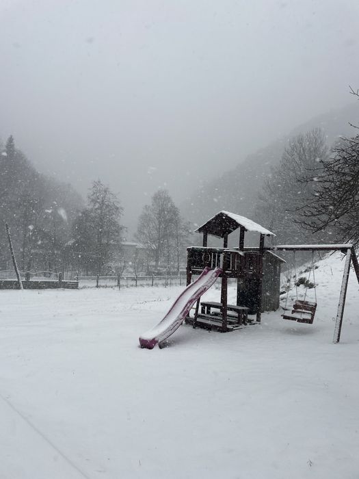Casa de vancață Tara de inchiriat