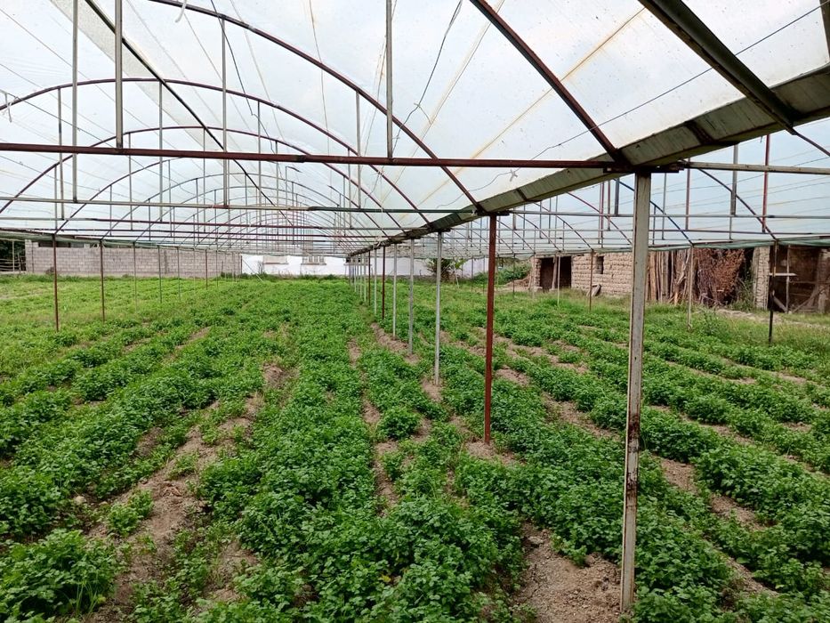 uy sotiladi tez orada