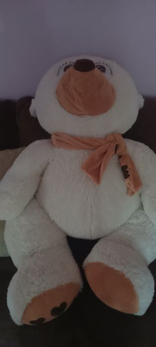 Vând urs mare de plus