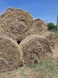 Vând baloți de lucernă și baloți de fân.