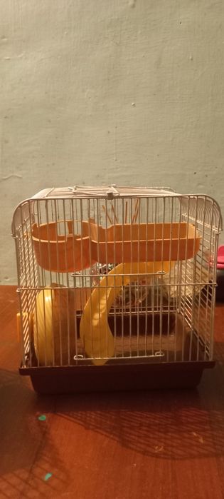 Клетки для хомячков.