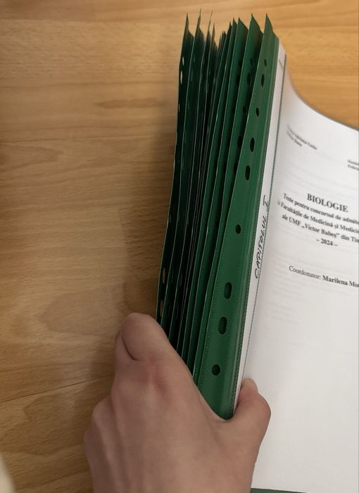 Carte grile Timisoara editia 2024