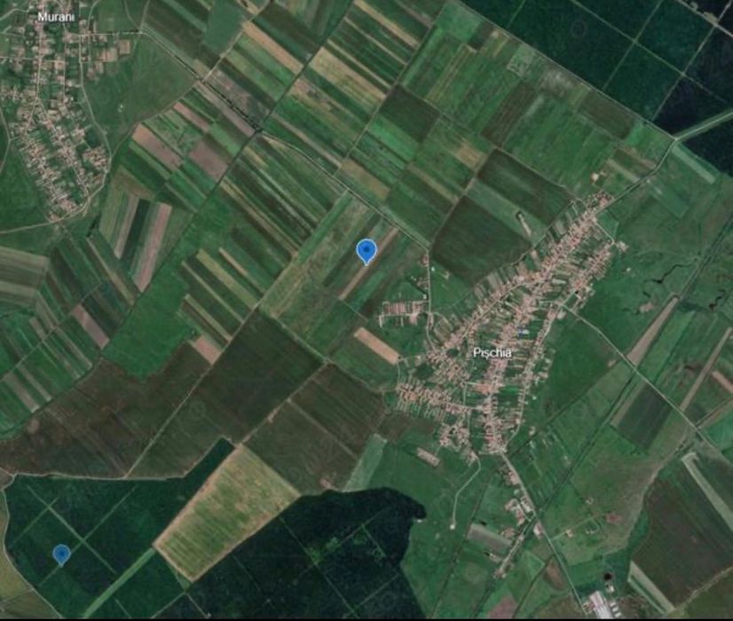 Vand 28.500 mp la iesirea din Pischia spre Murani