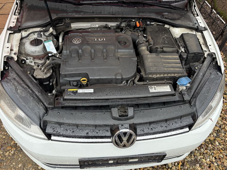 Volkswagen Golf 7 numere rosi valabile,carte de Romania,RAR efectuat