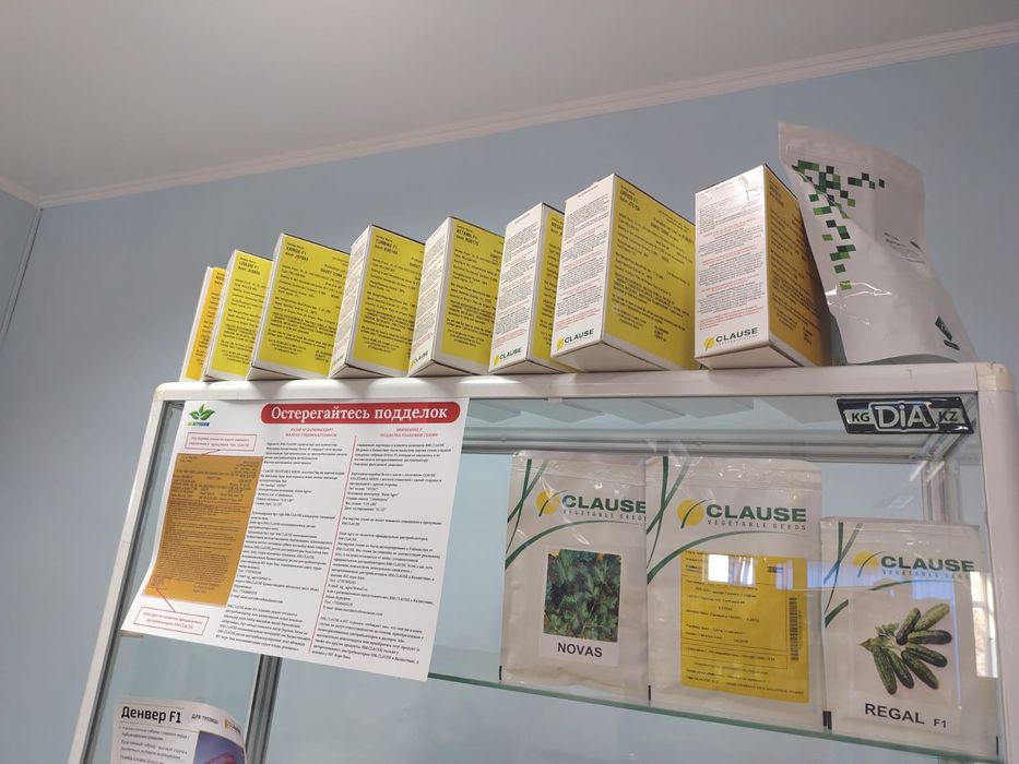 Жүгере ұрық семена кукурузы