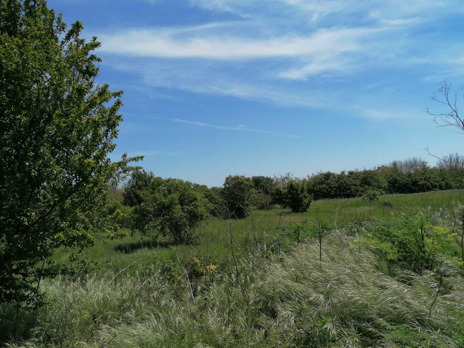 Парцел дворно място община Шабла, село Тюленово