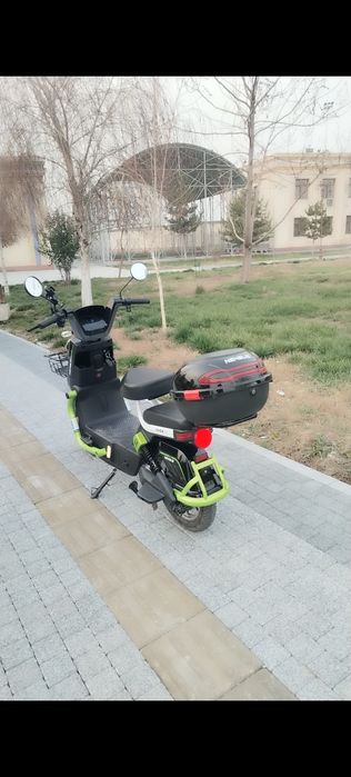 Holati zor idyal