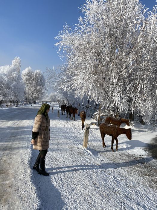 Шуба норковая срочно!