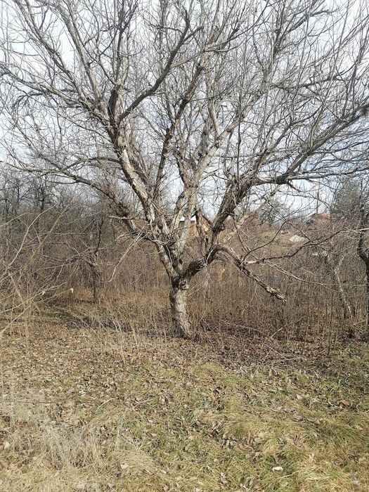 Имот село ЕГАЛНИЦА регулация Ток/вода