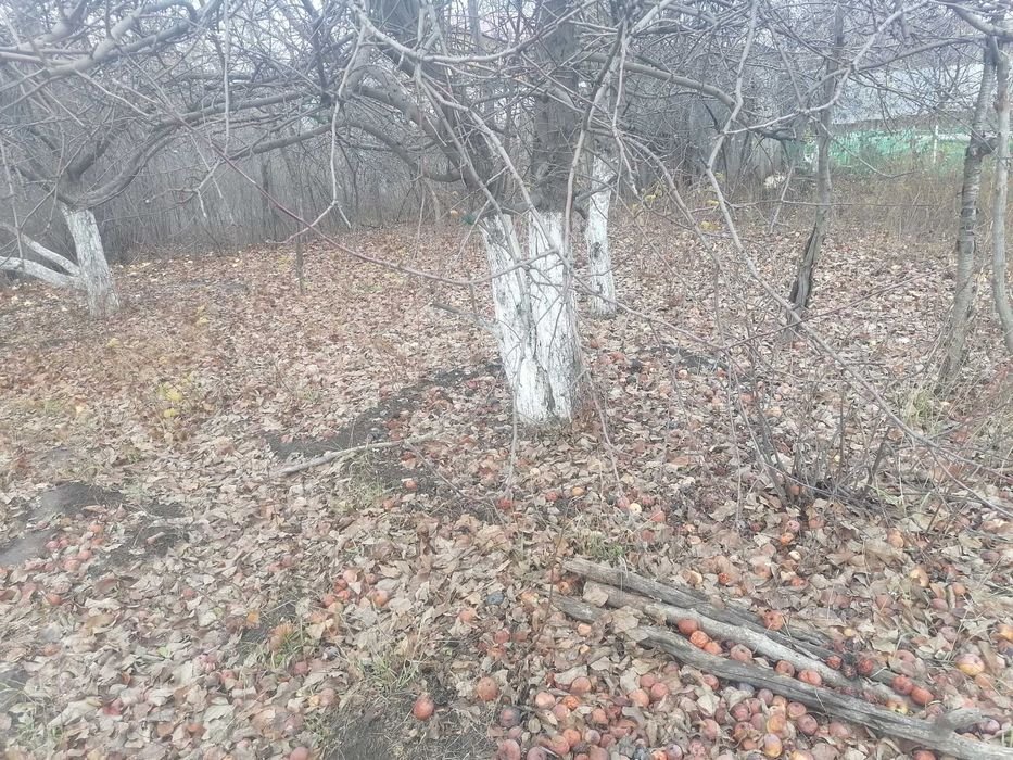Пансионат Дом инвалидов для строительства