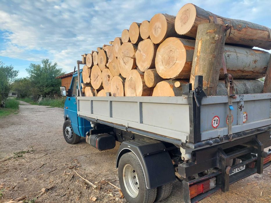 Lemne de foc timis esența tare